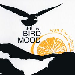 A bird flying high, with an orange in the sky